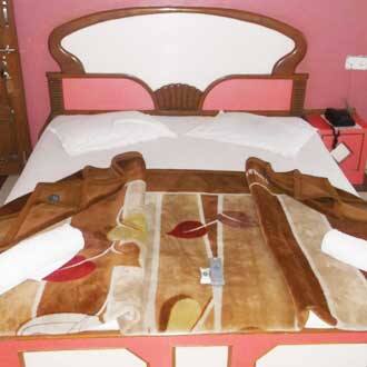 Hotel Paradise, Pachmarhi 2